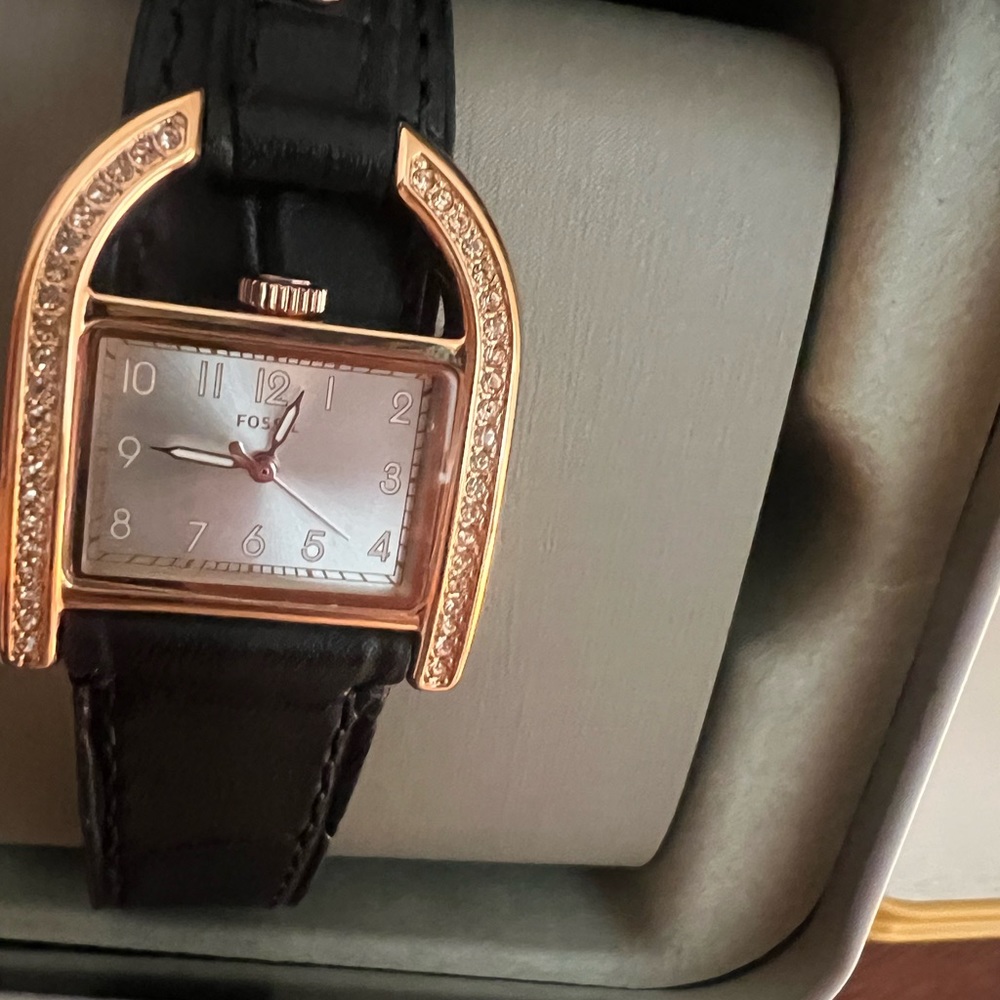 Brand new Fossil ladies watch